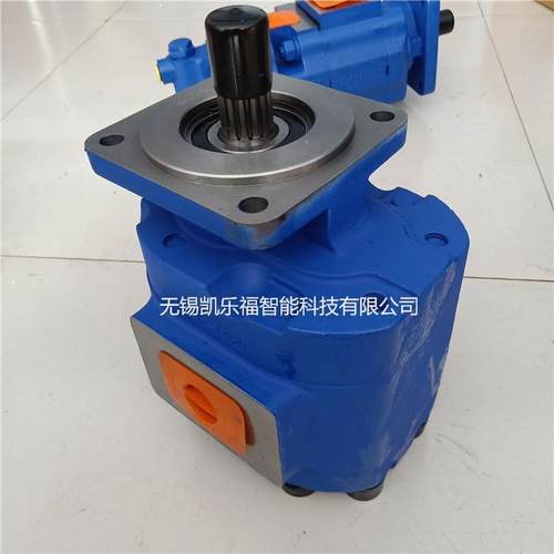 11660110256G装载机958装载机油泵956装载机油泵