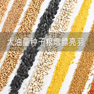 虎皮牡丹玄凤中小型鹦鹉鸟食饲料鹦鹉混合营养粮大油料繁殖用谷子