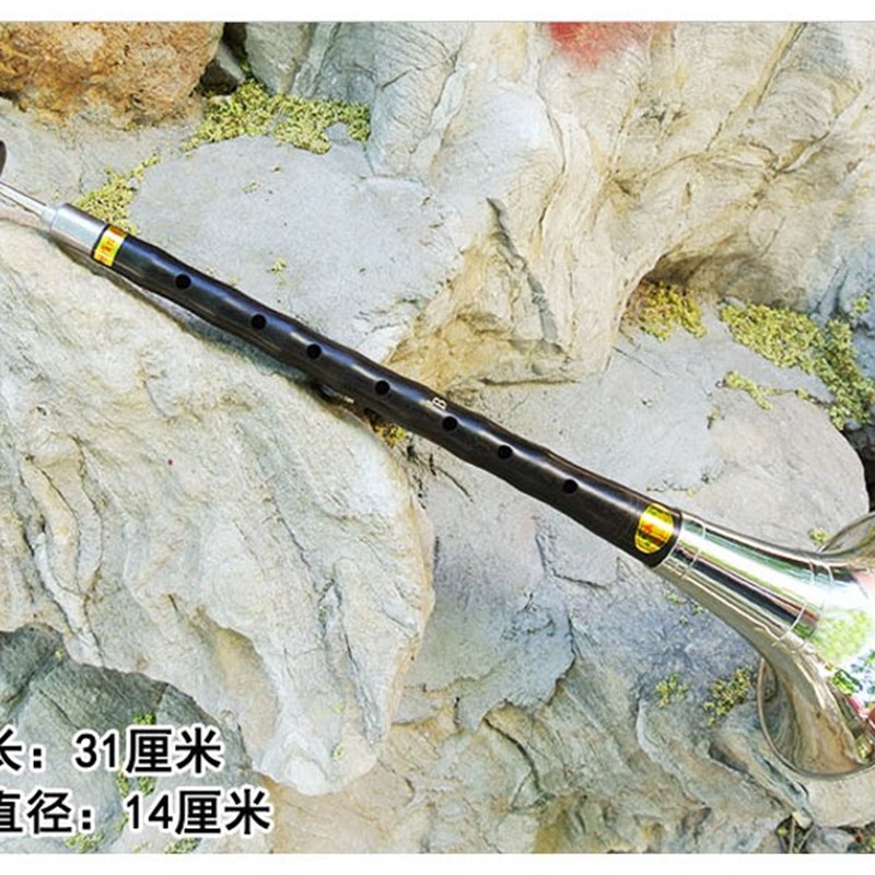 唢呐乐器全套专业降b调红白喜事黑檀乌木成人通用加厚黄铜碗哨片图片