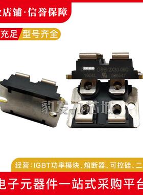 DSEI2X30-06CDSEI2X30-10BDSEI2X30-12B二极管