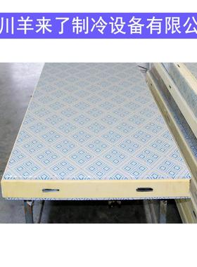 四川工厂B1B夹2聚酯534冷库板10分加厚聚公氨酯心冷库保温氨板