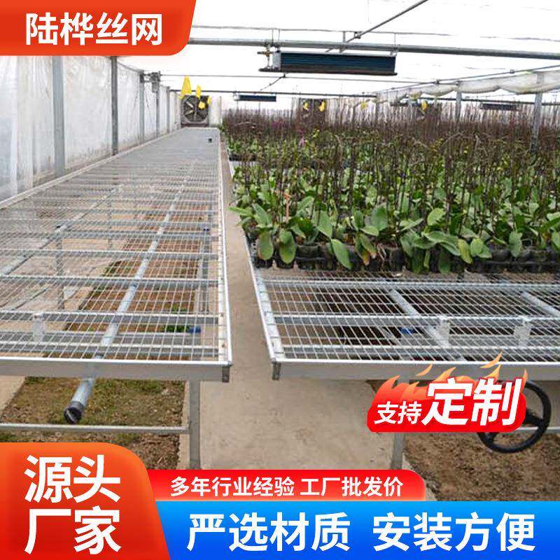 温多层动苗床网农业蔬RYP菜养移殖苗床网片双层育秧铝室合金苗育