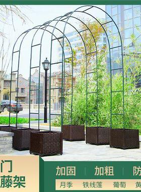 攀爬支架杆季葡萄铁线莲薇庭花园室外拱院形拱蔷门花架OLZ月爬赵