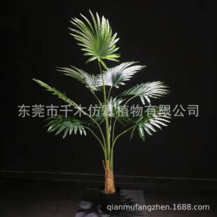 家居室内装饰圆叶蒲葵树景观餐厅装饰仿真假蒲葵盆栽工厂直销现货