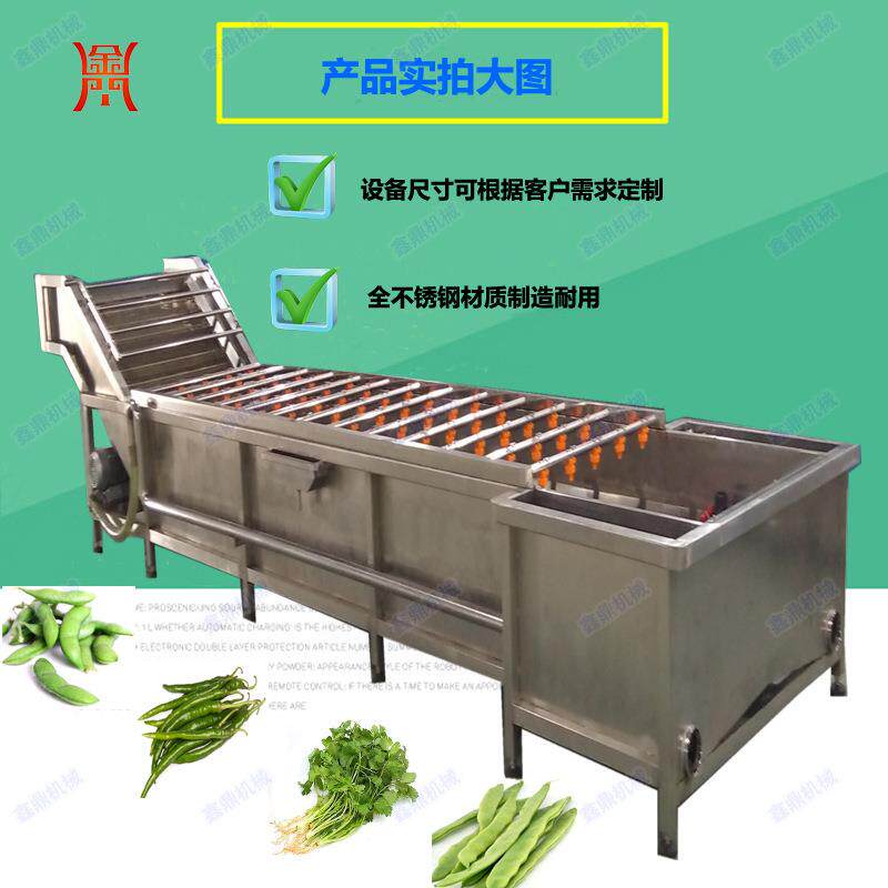 不锈钢金针菇气泡清洗机全自动菌类清洗机全钢制造支持ZUO