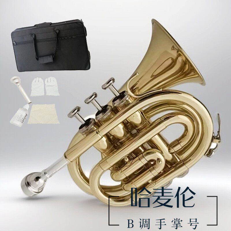 哈麦伦袖珍小号乐器专业手掌号降B调金色按键灵吹奏省力