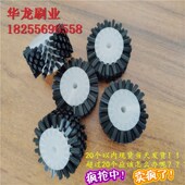 工业小型pp棒毛刷辊滚筒刷植毛式 除尘尼龙丝清洗水果毛刷轮定做