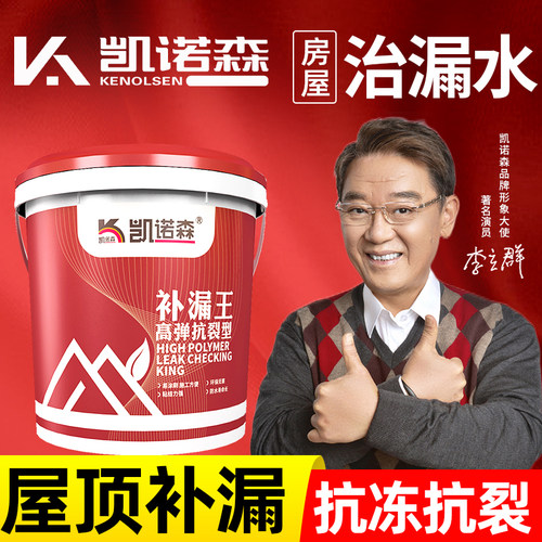 液体卷材防水涂料屋顶防水补漏楼顶房顶裂缝补漏王漏水防漏涂料胶