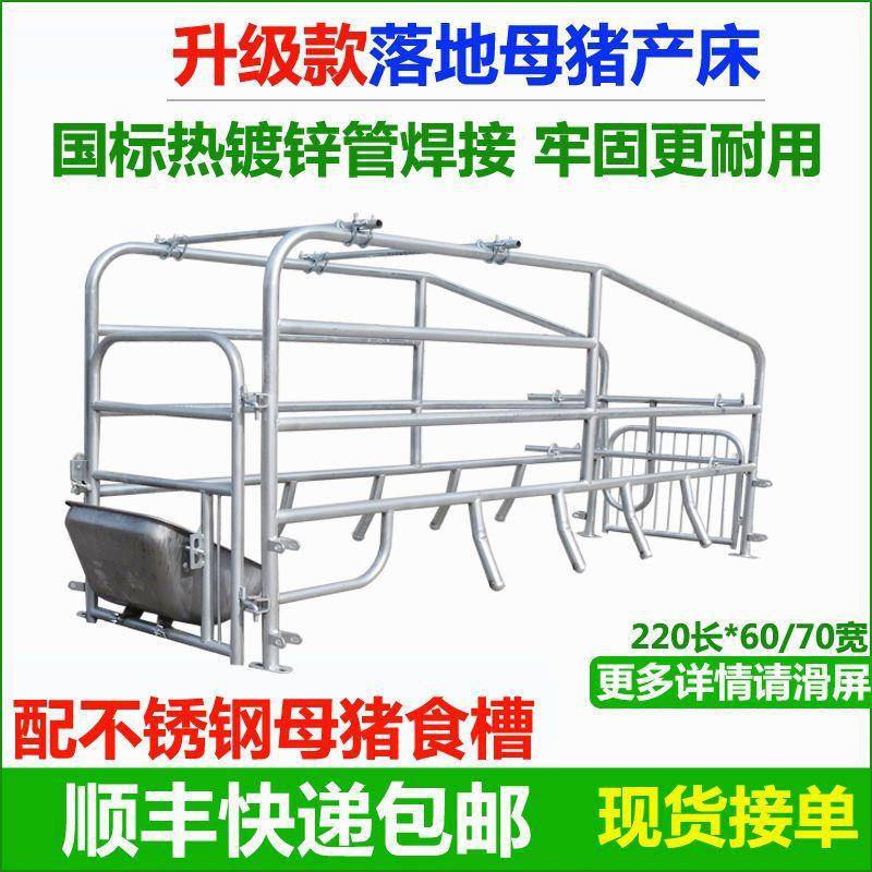 母猪产床易ADY母猪位落猪地式产床保产两用简多功能床猪场养设备