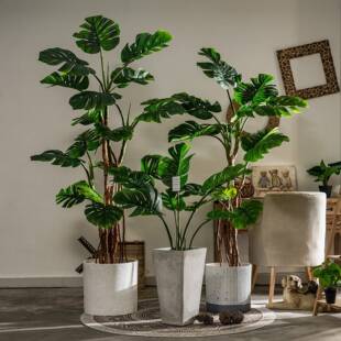 新款大型植龟背竹仿真物假植树盆室内客厅落地tb-67353仿生绿栽装