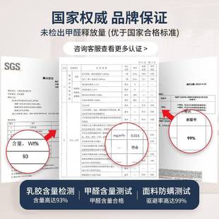 席梦思弹乳簧床垫经济型软硬两用205m厚1.米1.8cm胶椰棕家用JKD天