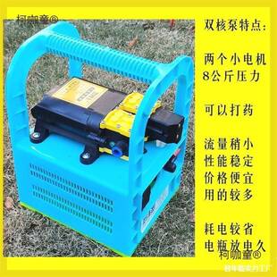 肥用施水CKV肥泵抽肥溶冲追肥吸灌扬肥电动高压器农肥大棚草滴麦
