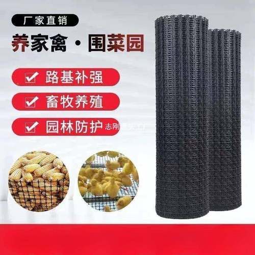 拦鸡网加厚养鸡鸭围防BDL栏料网养网胶塑殖圈地菜园护网玉米网格