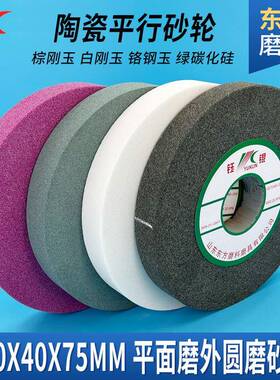 厂家白棕刚磨玉砂轮300X40X57氧化WLL铝碳硅陶瓷化沙轮片床打磨砂