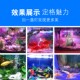 鱼缸灯led高亮防水全光谱增艳灯小型水族箱照明灯赏鱼灯吸盘