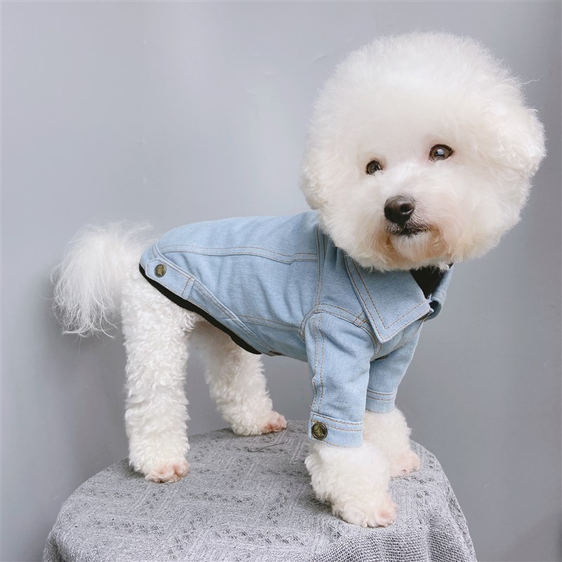 宠物狗夹克图纸小型犬大型犬外套纸样金毛泰迪法斗夹克衫模版