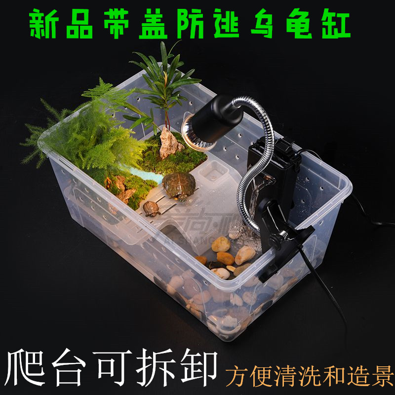 角蛙专用饲养盒两栖饲养箱小乌龟蝾螈蛙带晒台造景爬宠饲养盒包邮