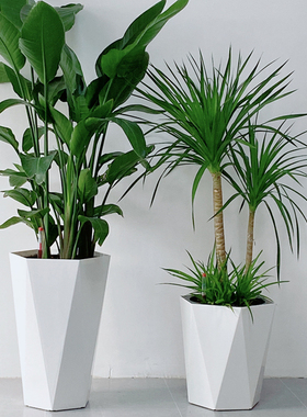 北欧白色简约客厅落地大肚子花盆网红创意懒人自动吸水大号蓄水盆