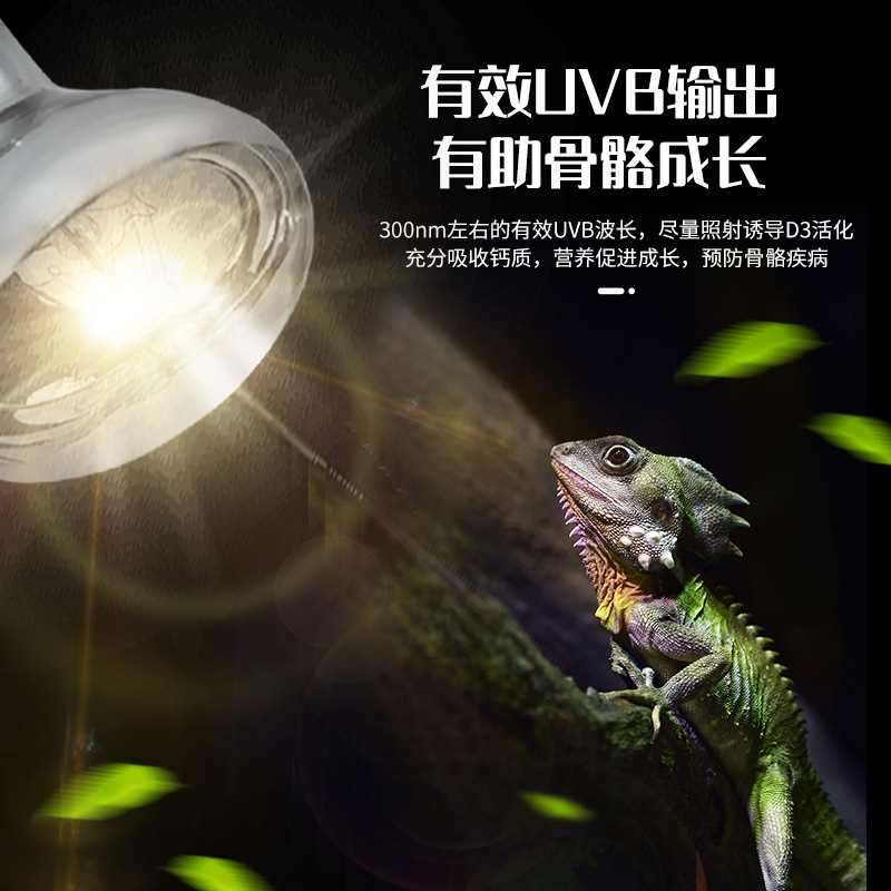 uvb乌龟晒背灯全光谱爬宠太阳灯加热uva蜥蜴陆龟补钙保温保暖灯