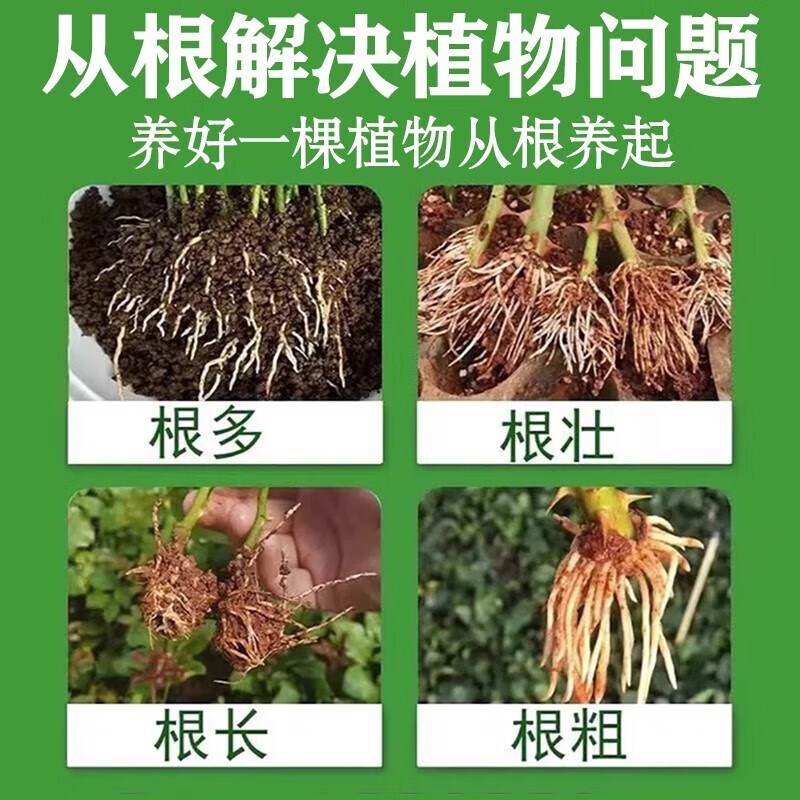 植物扦插生根剂玫瑰月季壮苗剂生根粉树木移栽种植生根液扦插专用