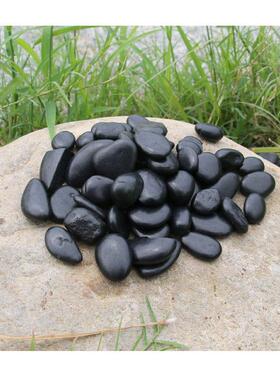 水洗石子多肉植物缀石点DDT白色白仿真植物盆栽出口配搭色鹅卵石