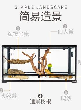 REP爬TIHPHZ蜥OO爬宠箱造景虫蜴睫守角宫树栖变色龙陆龟树根饲养