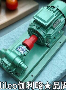 kcbb油泊KYN头导热的上海内正铸铁y油hcb轮齿输送叶片泵进口圆弧