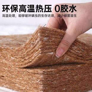 天保然椰棕床环家用卧室硬垫906可叠儿童折护腰护脊垫乳胶垫出租