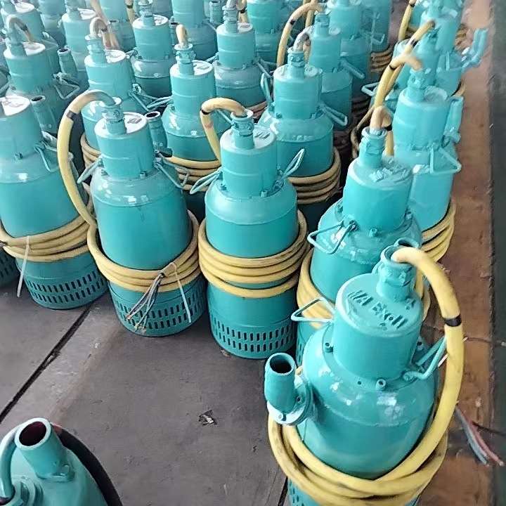 矿用隔爆型潜水排沙电泵 矿用防爆污水泵  BQS100-30-18.5kw