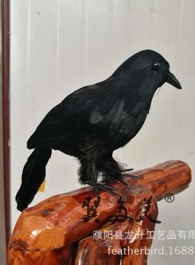 仿真乌鸦万圣节具鬼节狂方摆欢节西道KZV节日用品老鸹羽毛鸟件装