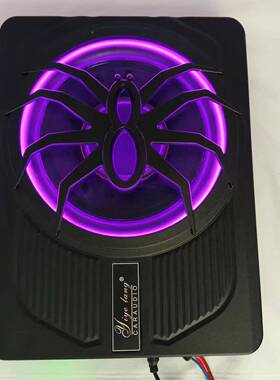 22552简约版车载音有响改装蜘汽蛛带灯款10寸薄大功率源车超低音