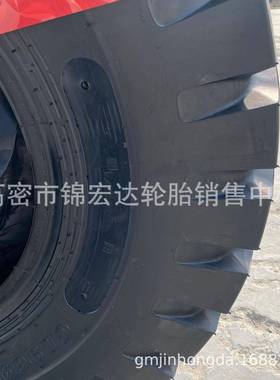 朝阳矿花G1L66花11.009-20矿用126尼龙轮胎110纹0-20200-20载重大