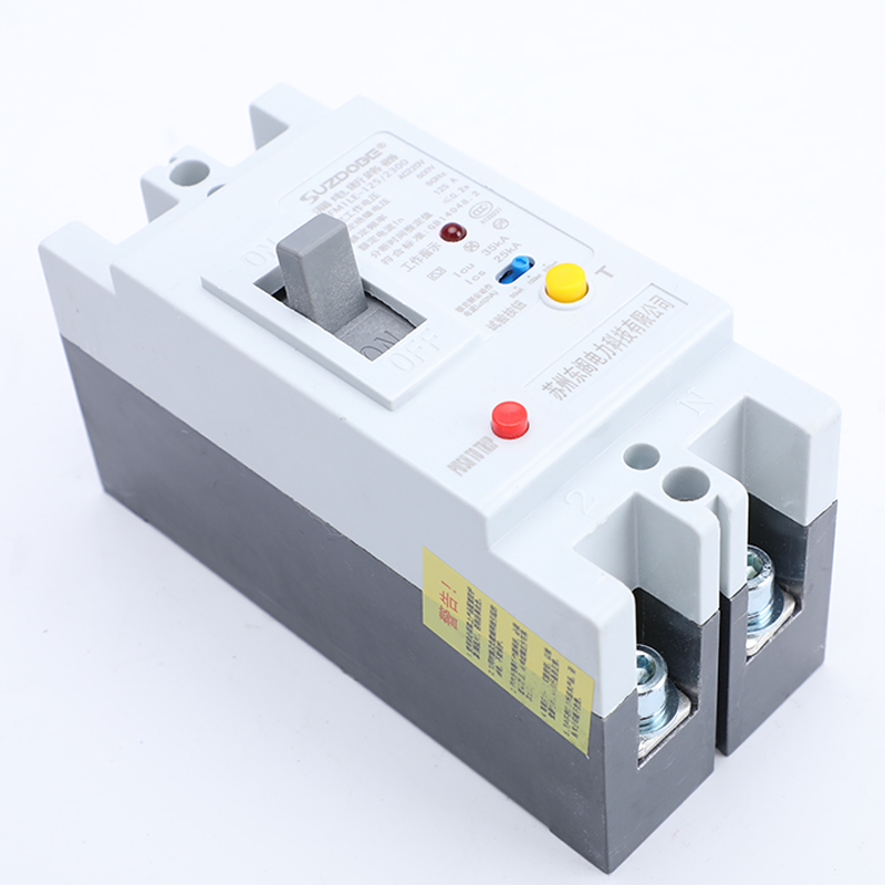 2P大功率单相漏电保护器100A125A250A带灯可调二相塑壳漏电断路器