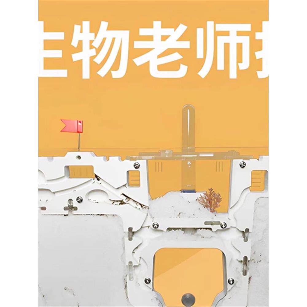 蚂蚁生态箱城堡超大型送蚁后学生观察盒繁殖版的蚁巢窝工坊宠物