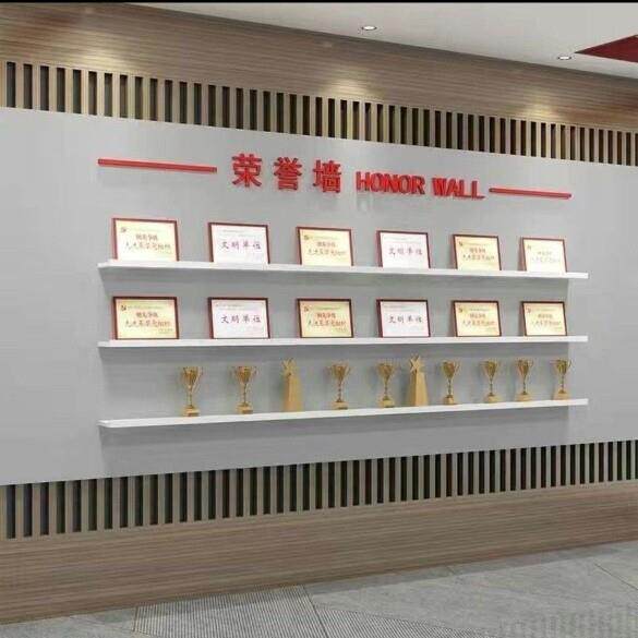 荣誉墙展示架壁挂式奖杯奖牌证书一字隔板置物架带挡板定制展示架