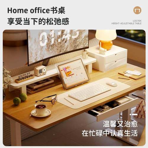 乐歌E5-风实HD公智能电动升降桌居家办桌木电脑桌学习桌奶油904书