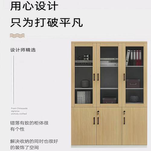 锁办公质木LP-55文件柜档案资料柜柜办公室柜子储物书柜玻璃带收