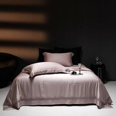 A丝类兰精00支超细旦天丝莱尔LS417483赛夏1被醋酸夏凉被四件套滑