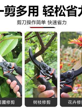 国进口钢5修枝TZA剪K省力家用果树园林粗S枝剪嫁德接花艺园艺剪工