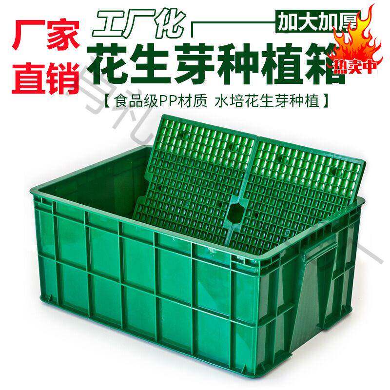 商用水培花生芽种植盒特大号多功能种植箱专用盘豆苗育苗箱育苗盘
