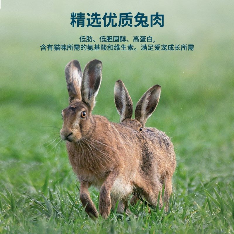 鲜朗无谷主食冻干生骨肉全价猫粮奶糕幼猫成猫布偶英短兔肉配方,宠物/宠物食品及用品,猫全价冻干粮,淘宝优惠券,粉丝福利购,淘宝优惠卷