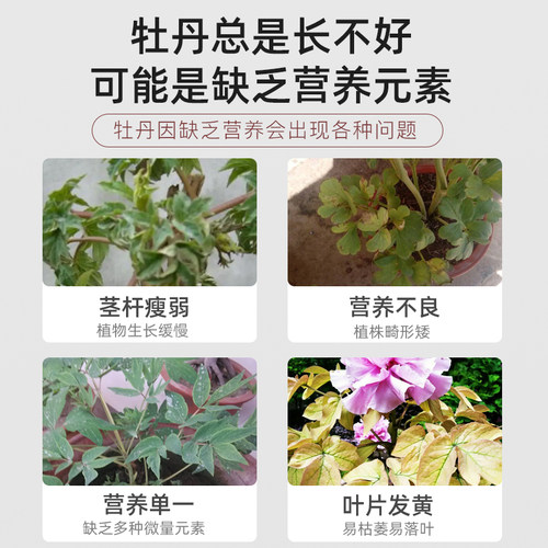 牡丹花肥料专用肥缓释肥花肥爆花肥复合肥家用盆栽控释肥有机肥