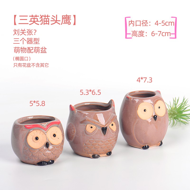 猫头鹰多肉陶瓷花盆迷你小花盆萌系卡通千岁草桌面生石花卉拇指盆