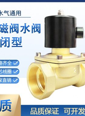 220V常闭电磁阀铜水阀24V气动开关12V电动放水管控制阀4分1寸DN15