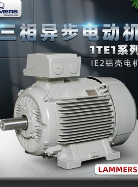 ELEKTRA同款德国LAMMERS电动机7AA/1TE1/1TZ9铸铁卧式机械设备