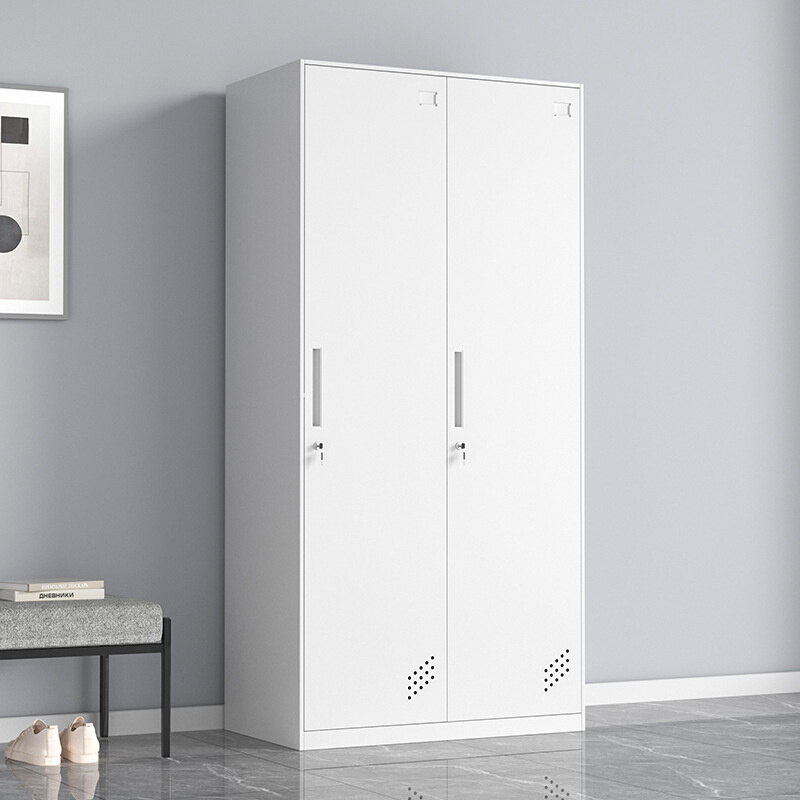 钢制员工宿舍铁皮储物柜二门健身房更衣柜带锁浴室换衣柜寄存柜子