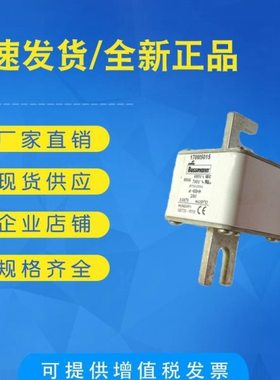 全新现货170M3062 170M3063 170M3064 170M3065巴斯曼熔断器