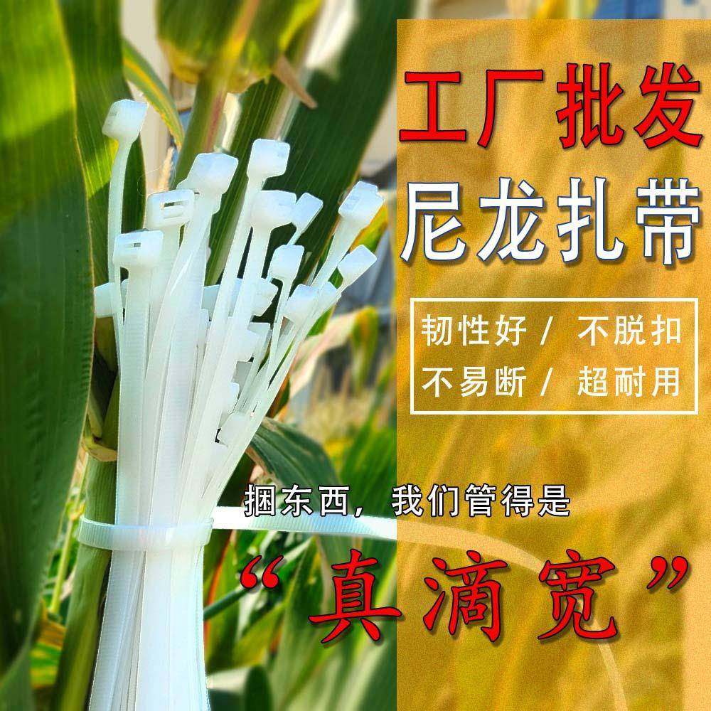 农用包捆绑玉米杆活扣尼龙装捆可重复使用扎带大量自锁292带式
