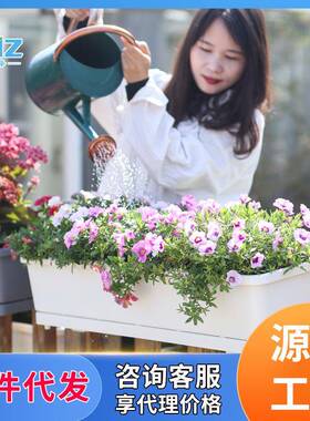 林D203S欧泽阳台种菜花盆种菜盆悬铁艺挂花盆窗架台栏杆挂花架