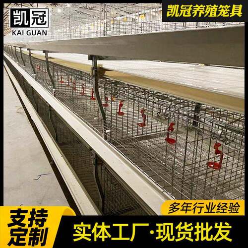 元式三层两门肉鸡笼养设备自动化层叠笼架设备自动清粪饮水设备